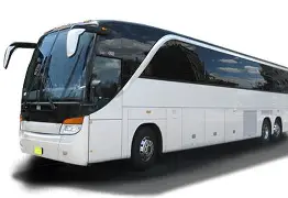 Tours & Travels